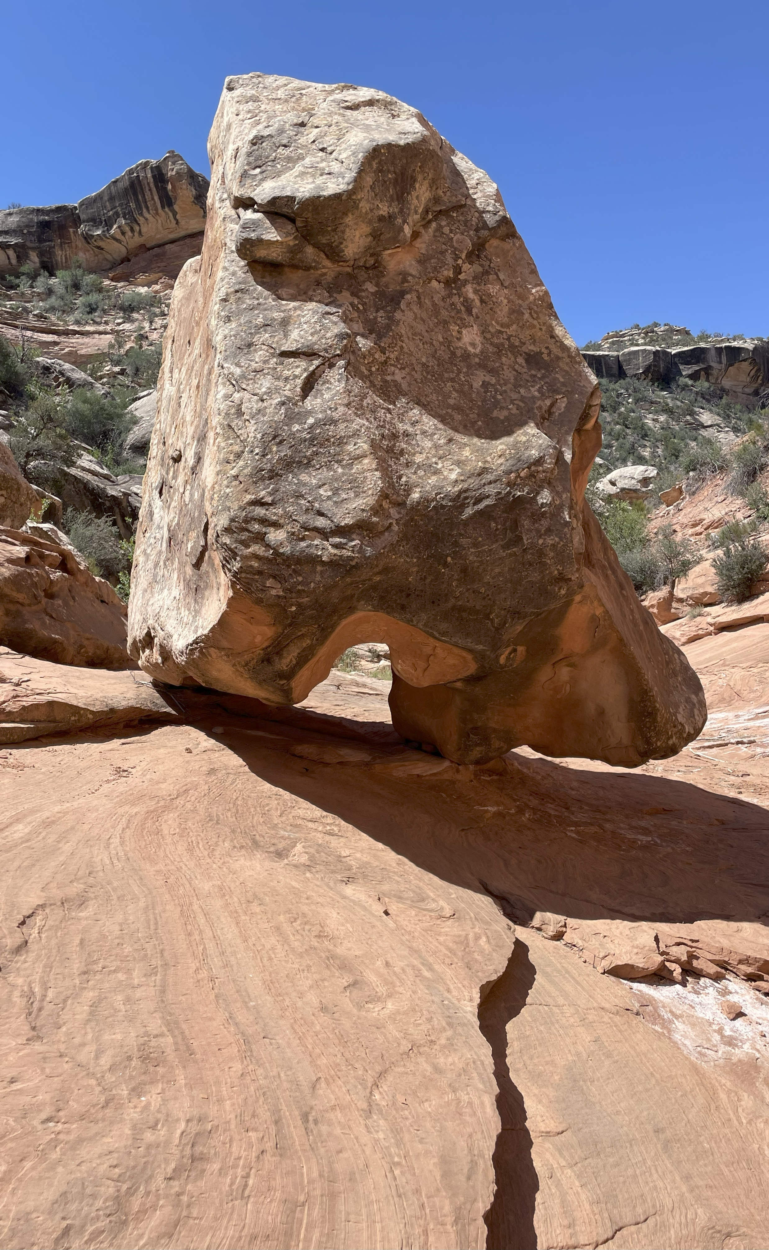 [Bears Ears Boulder 37°30'46.8N 109°55'16.3W]